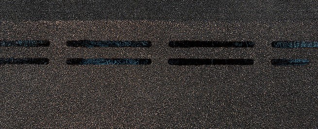 -  Docke Pie Eurasia 