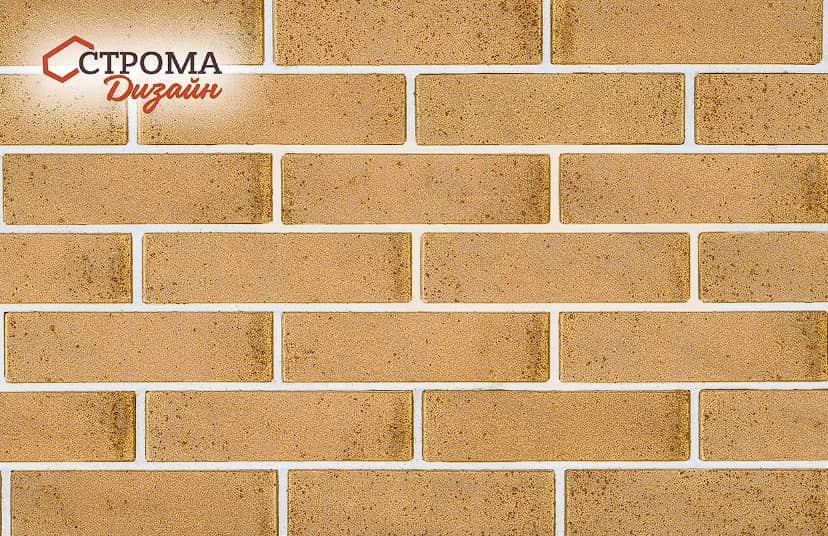 ������ ������������ ���������� ������ ������ 1�� �175 ������ �����������