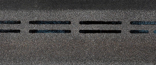 -  Docke Pie Eurasia 