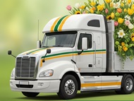 � 8 �����!