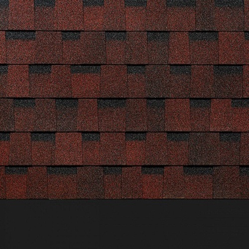   Docke Pie Dragon Europa 