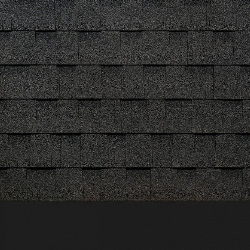   Docke Pie Dragon Europa 