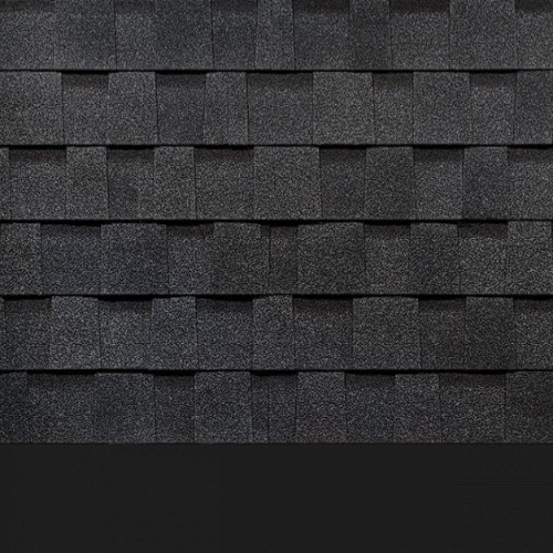   Docke Pie Dragon Premium 