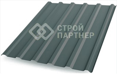  20 Grand Line, ,   (RAL 7005) 0,45 *