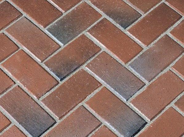 ���������� ���������� ��������� Penter Rotblaubunt 200�100�45 �� � ������