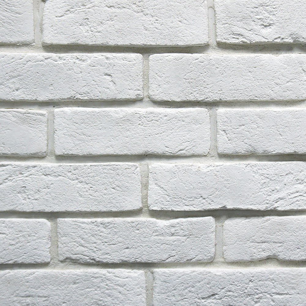 ������������ ������ BrickMayer ������� ���� ���. 1981